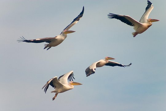 Tour image 8
