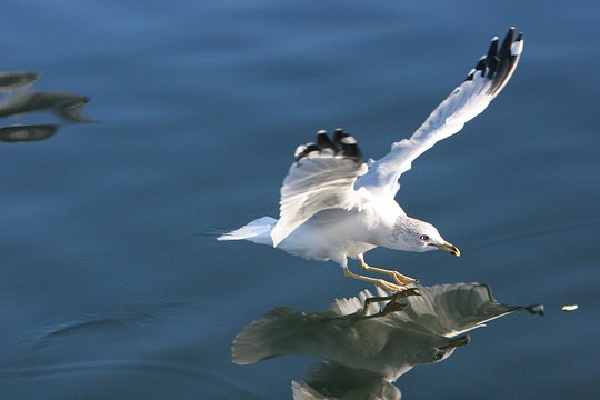 Tour image 10