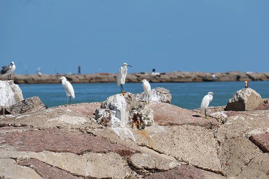 Tour image 8