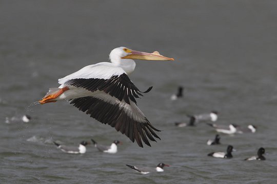 Tour image 12