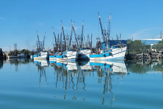 Tour image 6